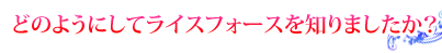 どのようにしてライスフォースを知りましたか?