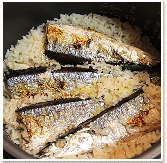 今月のお料理
