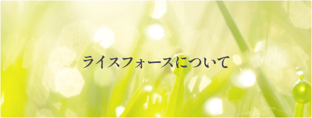 ライスフォースについて