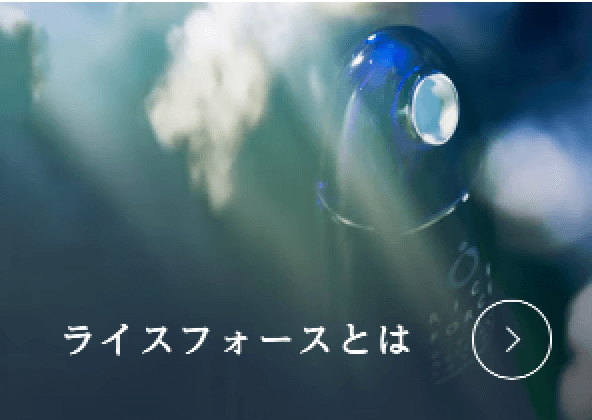 ライスフォースとは