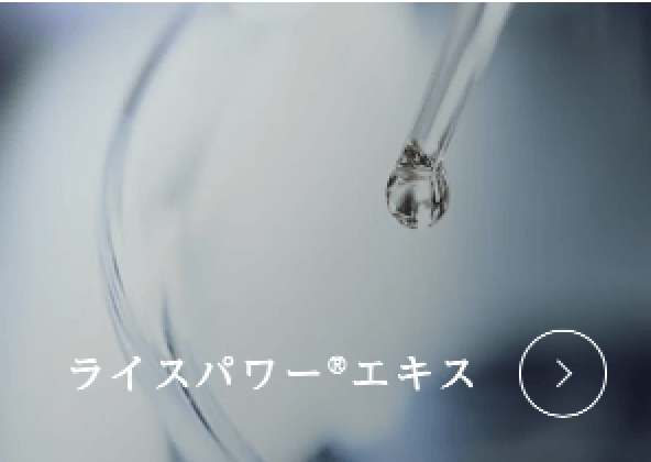 ライスパワー®エキス
