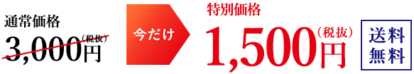 通常価格3,000円 特別価格 1,500円(税抜) 送料無料