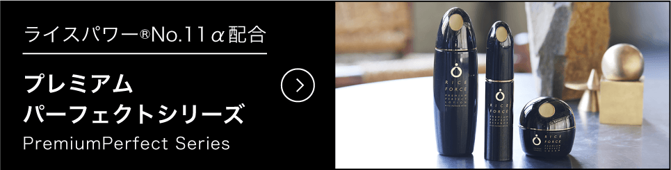 プレミアムパーフェクトシリーズ