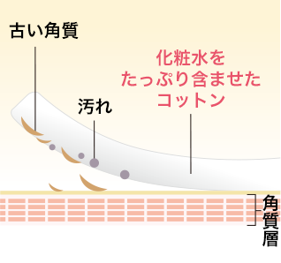 古い角質 汚れ 化粧水をたっぷり含ませたコットン 角質層