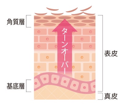ワンポイントアドバイス画像02