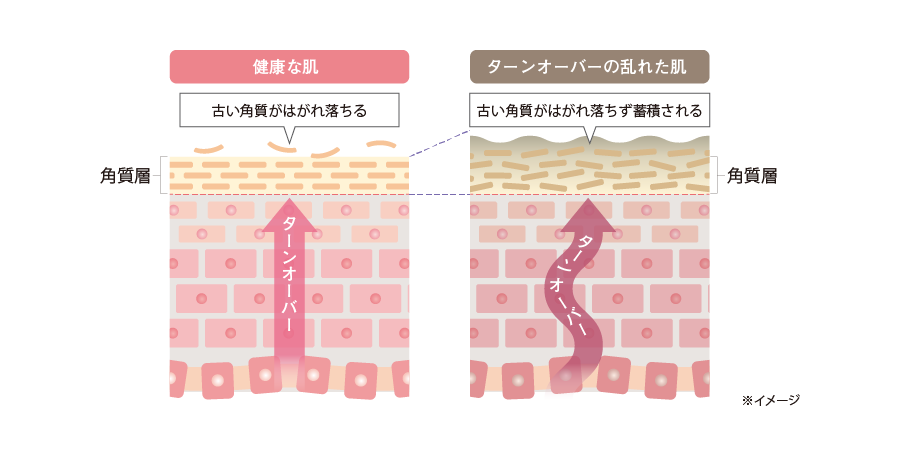肌状態をセルフチェック！