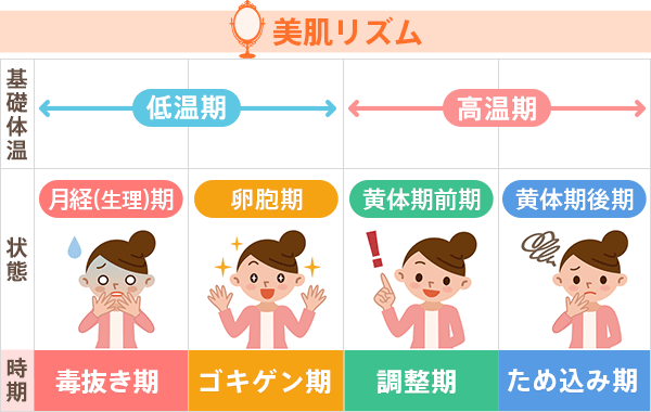 美のタイミングを逃さない 基礎体温をつけてセルフチェック Belta Piu ライスフォース 肌を育むスキンケアプログラム