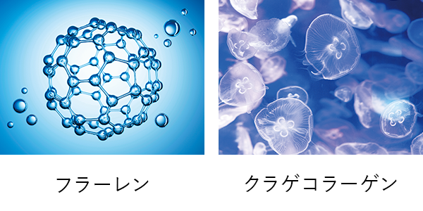 アロエベラ葉汁発酵液、豆乳発酵液、セイヨウナシ果汁発酵液