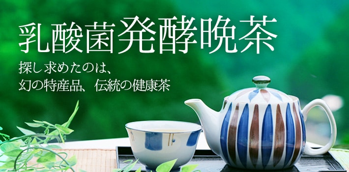 乳酸菌発酵晩茶 探し求めたのは、幻の特産品、伝統の健康茶