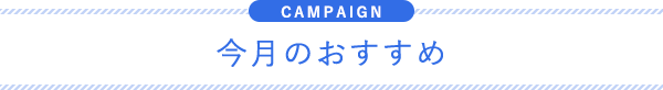 今月のおすすめ