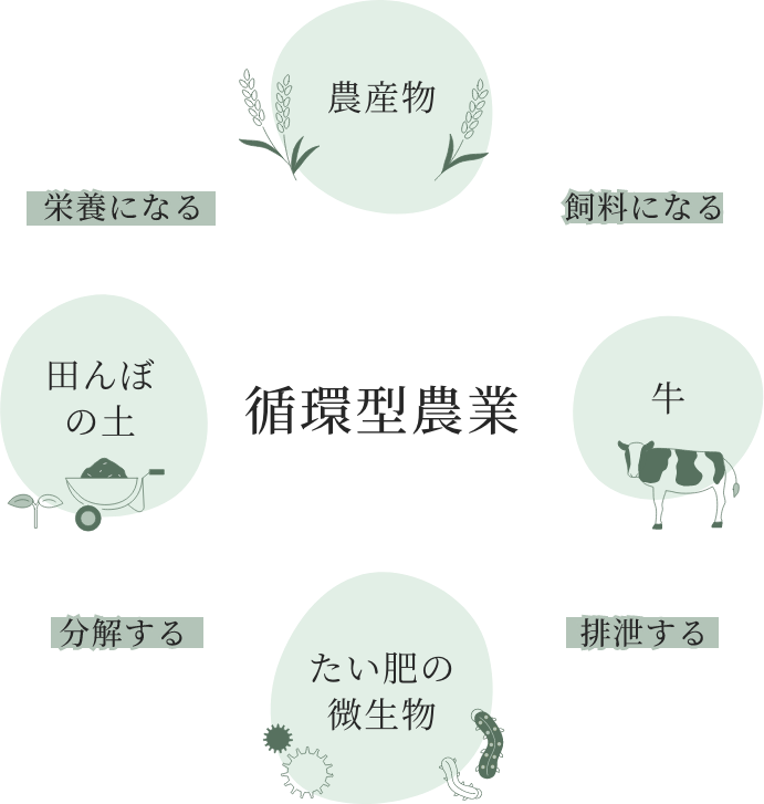循環型農業の図