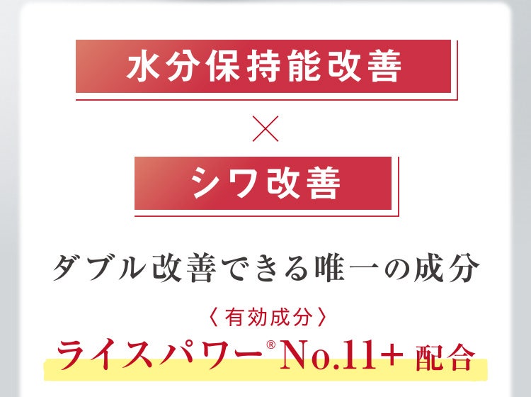 
					水分保持能改善×シワ改善
					ダブル改善できる唯一の成分〈有効成分〉ライスパワー No.11＋配合
				