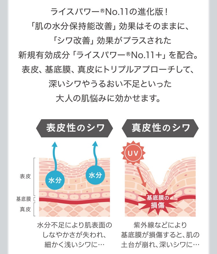 ライスパワー®No.11の進化版！「肌の水分保持能改善」効果はそのままに、「シワ改善」効果がプラスされた新規有効成分「ライスパワー®No.11＋」を配合。表皮、基底膜、真皮にトリプルアプローチして、深いシワやうるおい不足といった大人の肌悩みに効かせます。