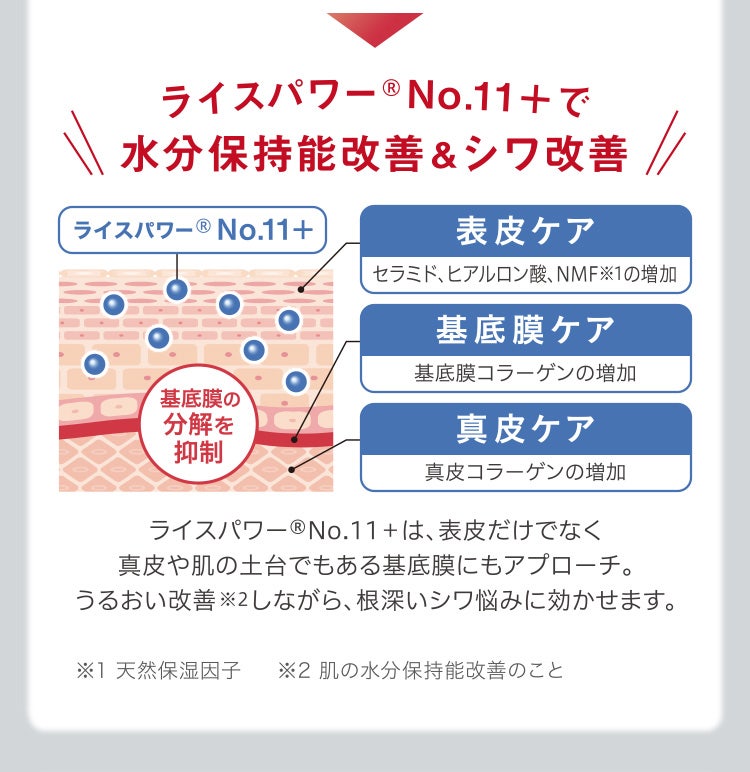 
					ライスパワー No.11＋で水分保持能改善＆シワ改善
					ライスパワー®No.11＋は、表皮だけでなく真皮や肌の土台でもある基底膜にもアプローチ。うるおい改善※2しながら、根深いシワ悩みに効かせます。
					※1 天然保湿因子
					※2 肌の水分保持能改善のこと
				