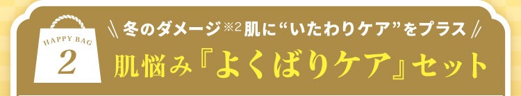 HAPPY BAG 2 冬のダメージ※2肌に“いたわりケア”をプラス 肌悩み『よくばりケア』セット