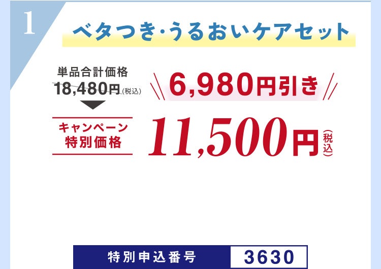 
									1 ベタつき・うるおいケアセット
									単品合計価格18,480円（税込）のところキャンペーン特別価格11,500円（税込）＜6,980円引き＞
									特別申込番号3630
								