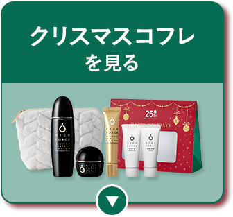 クリスマスコフレを見る