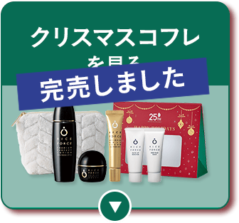 クリスマスコフレを見る