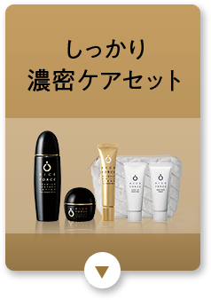 しっかり濃密ケアセット