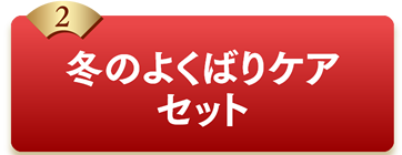 2冬のよくばりケアセット