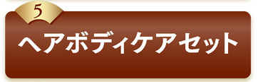 5ヘアボディケアセット