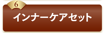 6インナーケアセット