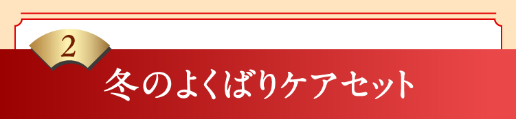 2冬のよくばりケアセット