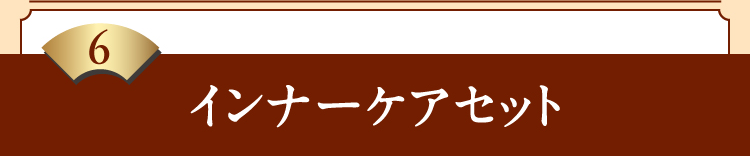 6インナーケアセット
