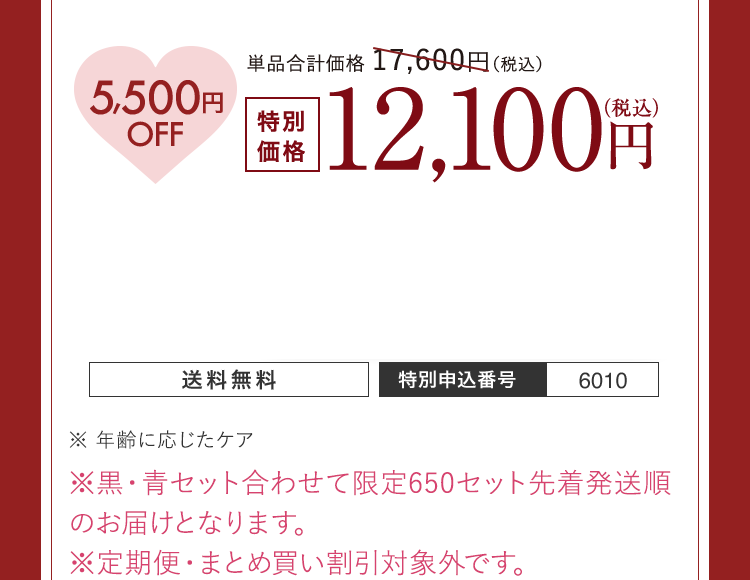 5,500円OFF 特別価格 12,100円（税込） 送料無料 特別申込番号 6010