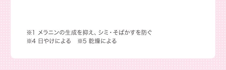 ※1 メラニンの生成を抑え、シミ・そばかすを防ぐ ※4 日やけによる ※5 乾燥による