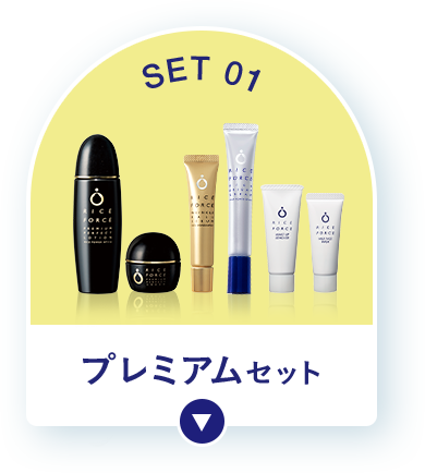 STEP01 プレミアムセット