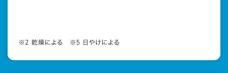 ※2 乾燥による ※5 日やけによる