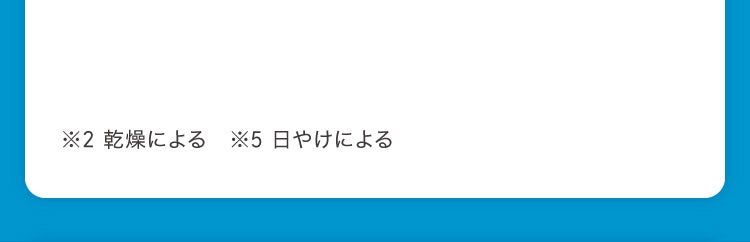 ※2 乾燥による ※5 日やけによる