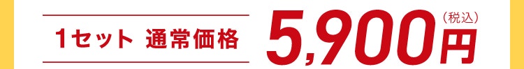 1セット 通常価格 5,900円（税込）