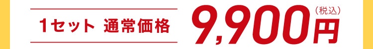 1セット 通常価格 9,900円（税込）