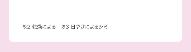 ※2 乾燥による　※3 日やけによるシミ