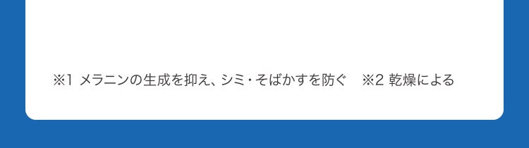 ※1 メラニンの生成を抑え、シミ・そばかすを防ぐ　※2 乾燥による