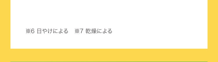 ※6 日やけによる　※7 乾燥による