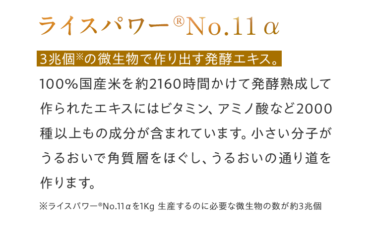 ライスパワー®No.11α 3兆個※の微生物で作り出す発酵エキス。100%国産米を約2160時間かけて発酵熟成して作られたエキスにはビタミン、アミノ酸など2000種以上もの成分が含まれています。小さい分子がうるおいで角質層をほぐし、うるおいの通り道を作ります。※ライスパワー®No.11αを1Kg生産するのに必要な微生物の数が約3兆個