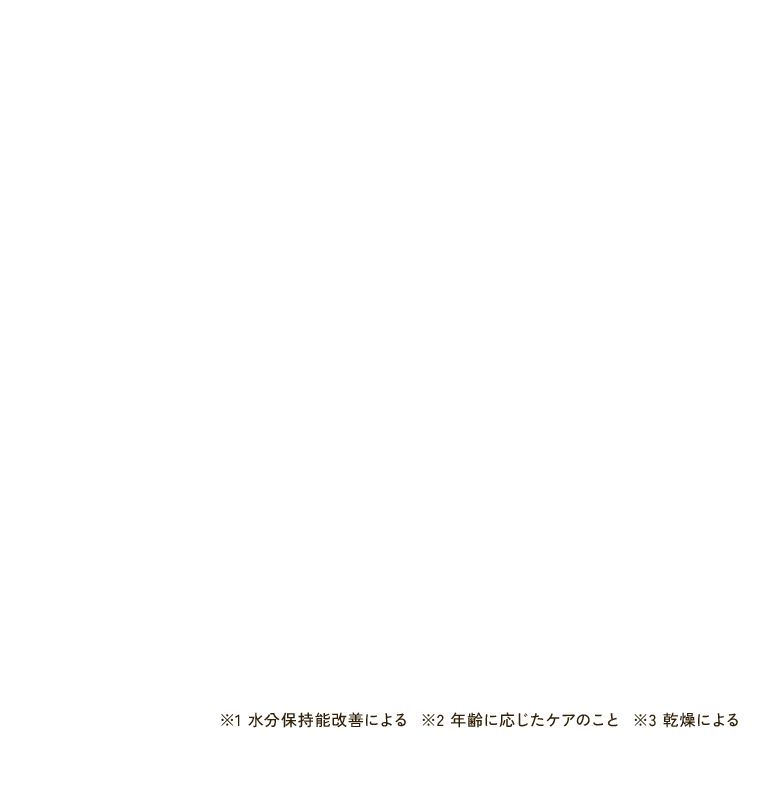 初回限定】ライスフォースの特別セット