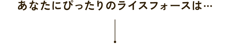 あなたにぴったりのライスフォースは…