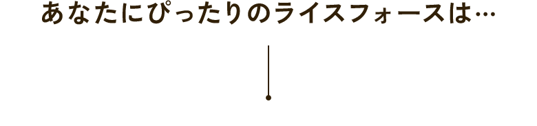 あなたにぴったりのライスフォースは…