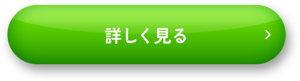 詳しく見る