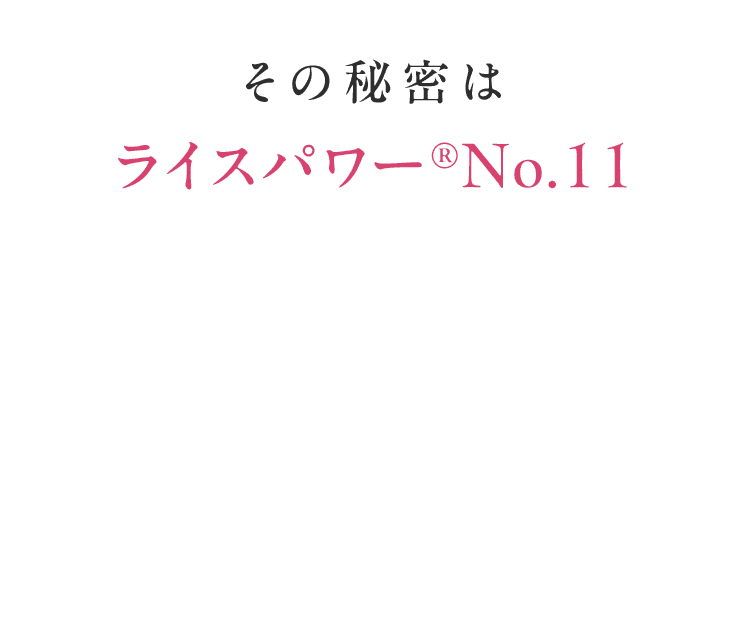 その秘密は ライスパワー®No.11 