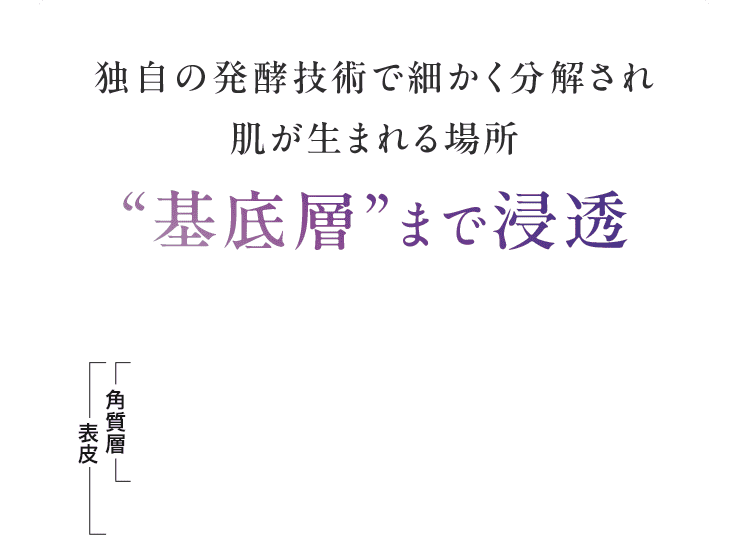 独自の発酵技術で細かく分解され 肌が生まれる場所 “基底層”まで浸透 角質層 表皮