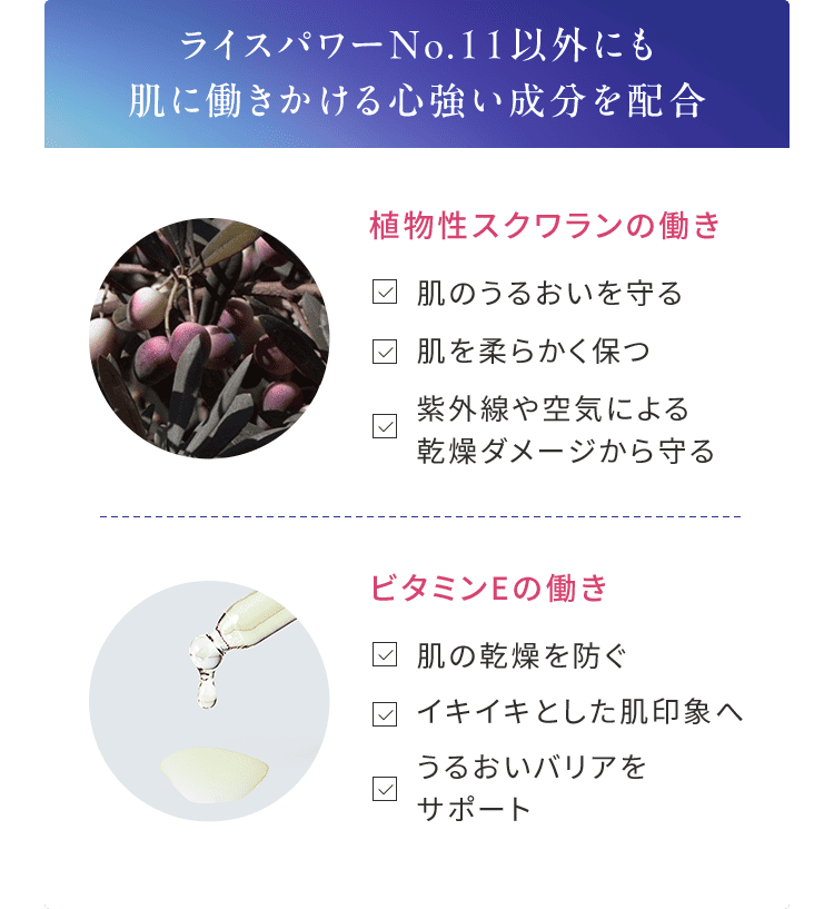 ライスパワーNo.11以外にも 肌に働きかける心強い成分を配合 植物性スクワランの働き 肌のうるおいを守る 肌を柔らかく保つ 紫外線や空気による 乾燥ダメージから守る ビタミンEの働き 肌の乾燥を防ぐ イキイキとした肌印象へ うるおいバリアを サポート 