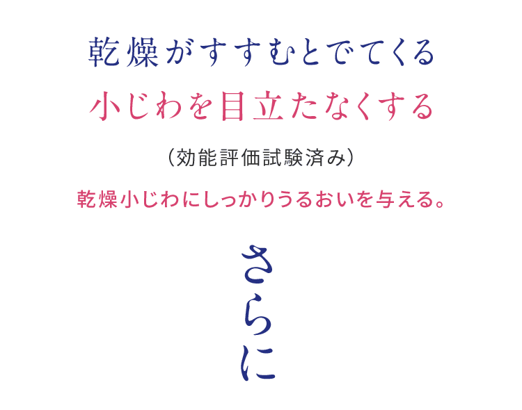 乾燥がすすむとでてくる 小じわを目立たなくする （効能評価試験済み） 乾燥小じわにしっかりうるおいを与える。さらに