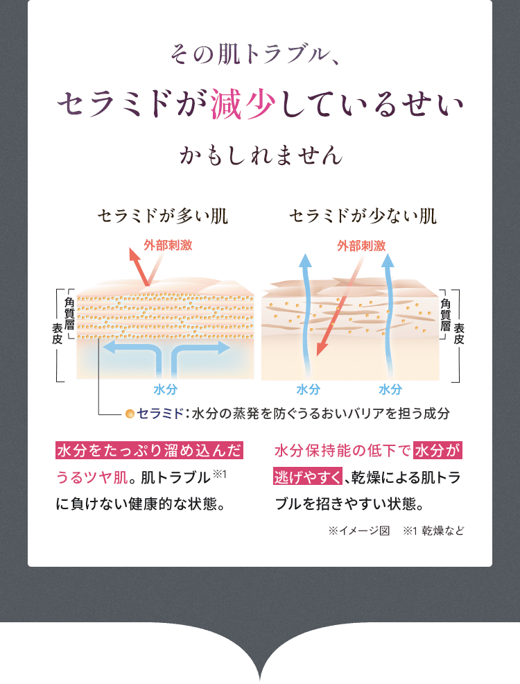 その肌トラブル、 セラミドが減少しているせい かもしれません セラミドが多い肌 外部刺激　角質層 表皮 水分 セラミド：水分の蒸発を防ぐうるおいバリアを担う成分 水分をたっぷり溜め込んだうるツヤ肌。肌トラブル に負けない健康的な状態。 セラミドが少ない肌 外部刺激　角質層 表皮 水分 水分 水分保持能の低下で水分が逃げやすく、乾燥による肌トラブルを招きやすい状態。※イメージ図　※1 乾燥など
