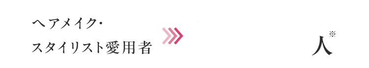 ヘアメイク・スタイリスト愛用者