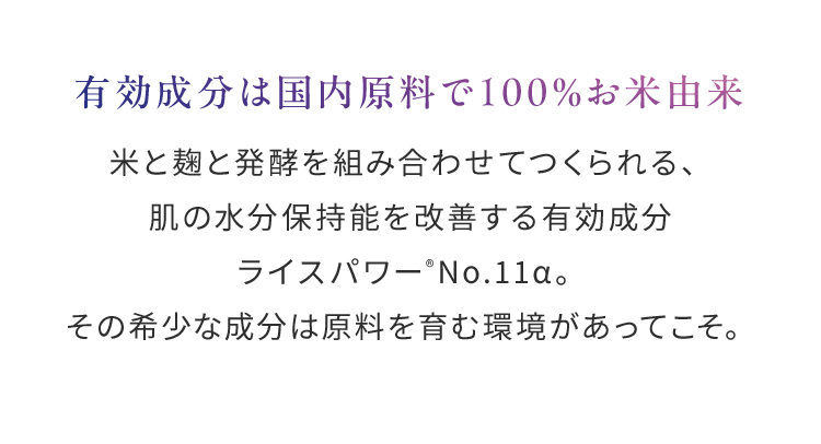 有効成分は国内原料で100％お米由来米と麹と発酵を組み合わせてつくられる、肌の水分保持能を改善する有効成分ライスパワー®No.11。